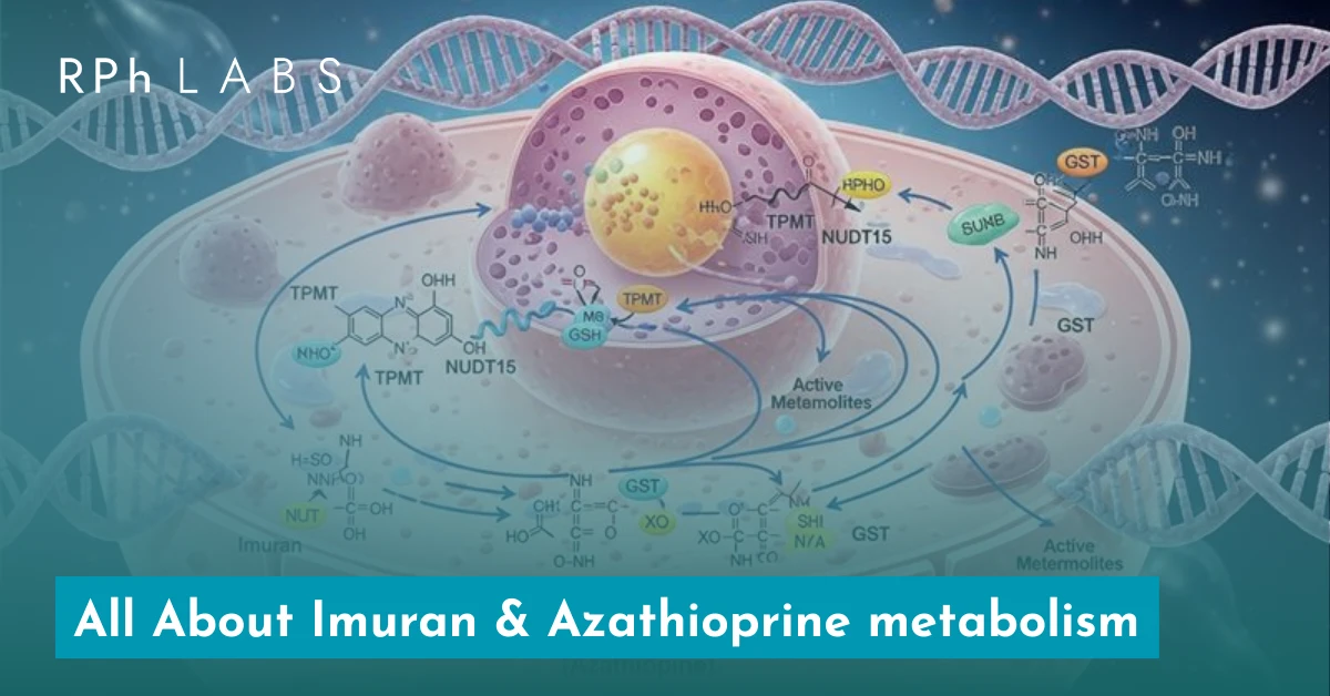 Azathioprine Metabolism