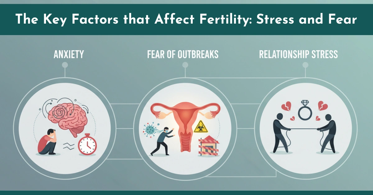 The Key Factors that Affect Fertility